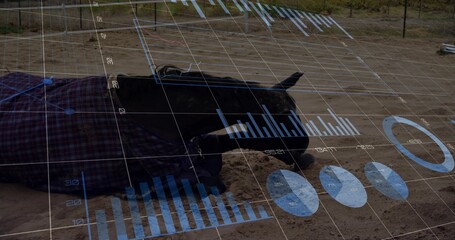 Lying dark-coated bull filling frame inside pen, wearing plaid blanket and strap, blue data overlay