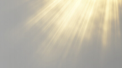 Obraz premium Png star light formed by sun, expanding sunlight rays in warm golden style. Sparkle, sparks, dust, bokeh glow with lens flare and starlight inside starburst. Bright yellow rays fill the background.