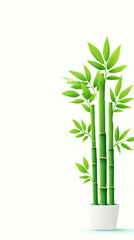 Fototapeta premium Vibrant green bamboo stalks in white pot against white background