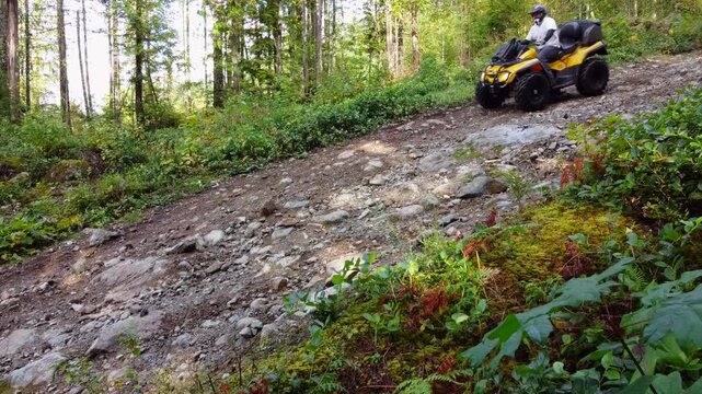 A man driving a yellow ATV going down a steep and rocky hill in the forest. 