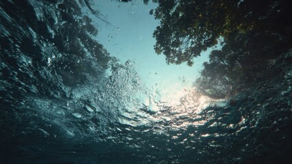 Obraz premium Underwater view of trees, blue sky