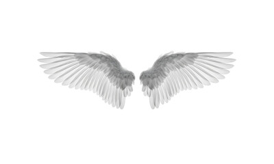 Obraz premium Pair of white feathered wings spread wide symmetrical isolated on transparent background transparent background