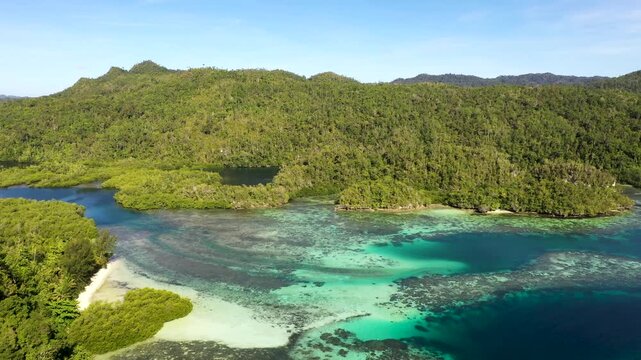 Close aerial flyby over dense tropical forest and river meeting coral reef lagoon in Raja Ampat
