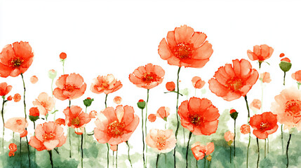 Obraz premium watercolor botanical Rose flowers texture template background.Elegant wedding invitation card background . Minimal hand painted Design for wedding or Valentine's Day 