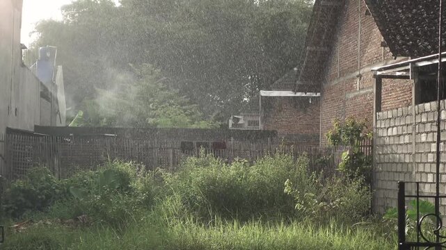 A backyard garden being drenched by heavy rain while sunlight shines through, capturing a dramatic sunshower over lush green plants and natural outdoor scenery