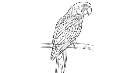 Fototapeta premium Detailed line art drawing of a tropical parrot perched on a tree branch, suitable for coloring books or educational materials.