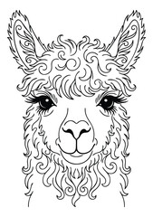 Fototapeta premium Ornamental line art illustration of llama face depicting decorative swirls and flourishes for coloring book design