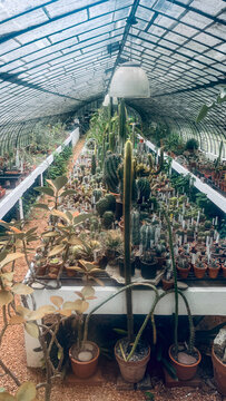 Invernadero Jardin Bot&aacute;nico de Buenos Aires