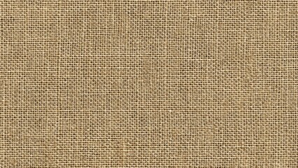 Fototapeta premium Burlap Fabric Texture