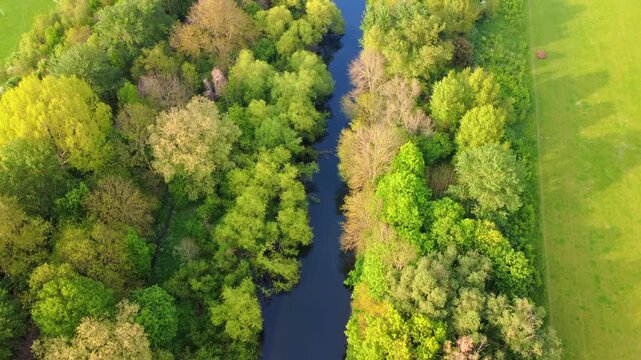 River Lea Winding Through Hackney Marshes in East London Aerial View