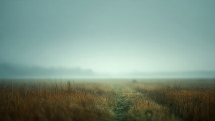 Foggy path through a golden field