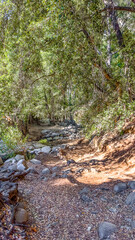 Fototapeta premium View of the Gabrielino Trail leading to the Switzer Falls in the Los Angeles County