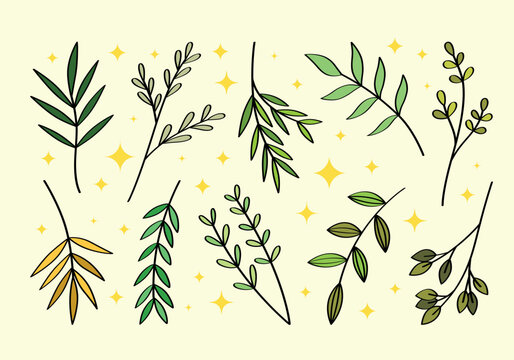 Set of hand drawn branches and leaves of bushes and trees in a cartoon style. Aesthetic plant icons. Ideal for decorating and framing flyers, greeting cards, posters, invitations, social media, ect.