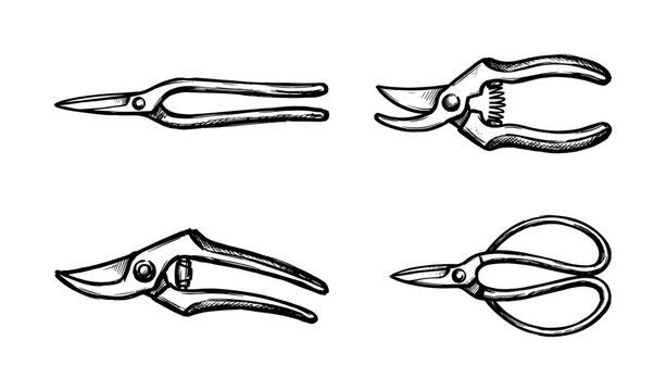 Set of four hand-drawn gardening pruners and shears in a black and white sketch style, showing various cutting tools for horticulture, floristry, and landscaping