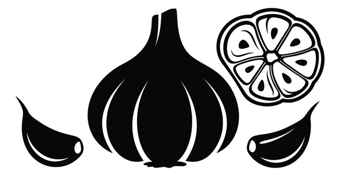 Silhouette illustration of garlic bulb depicting whole head cloves and cross section cut for food and culinary design