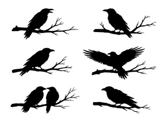 Fototapeta premium Set of raven or crow silhouettes perched on tree branches. Black bird vector collection isolated on white background.