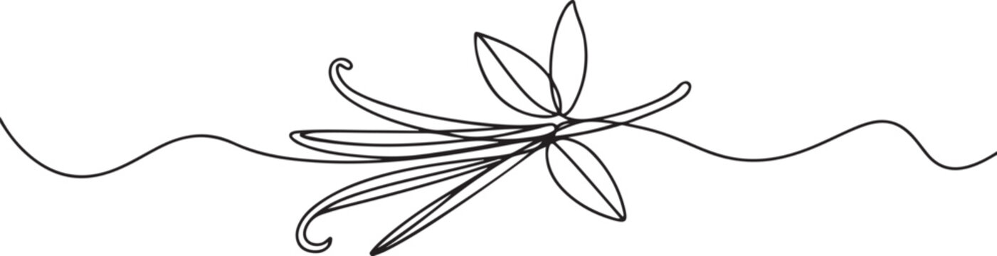 Continuous one line drawing vanilla pods. Herb concept. Single line draw design vector graphic illustration. one line Icon drawing