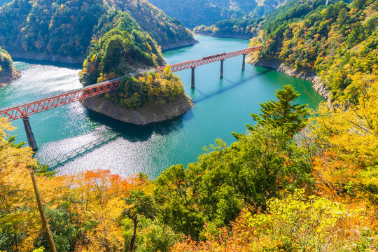 日本の風景・秋　静岡　紅葉の大井川鐵道　奥大井湖上駅