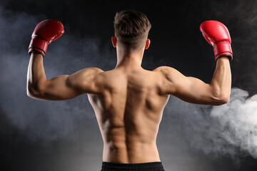 Athletic man in red boxing gloves posing in smoke against black background, back view
