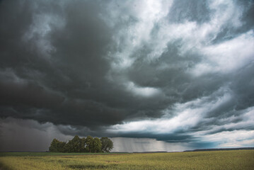 Fototapeta premium Dramatic storm clouds gather over a green field with distant rain showers