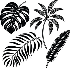 Obraz premium Tropical monstera palm fern leaf silhouettes 