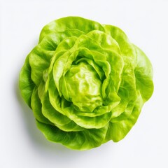 Fototapeta premium Fresh Green Lettuce Head with Crisp Leaves and Vibrant Color Isolated on White Background Perfect for Healthy Eating.