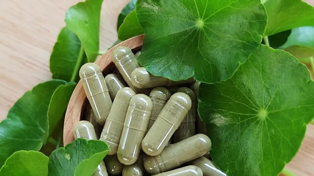 Close up Herbal capsules contain powdered gotu kola and gotu kola leaves in a wooden bowl.A natural dietary supplement.