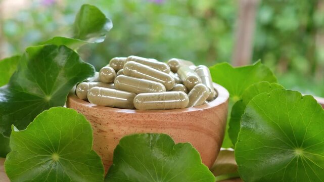 Close up Herbal capsules contain powdered gotu kola and gotu kola leaves in a wooden bowl.A natural dietary supplement.