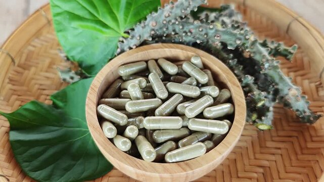 Tinospora crispa and capsules with leaves have medicinal properties.