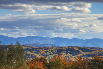 Fototapeta premium Autumn nature landscape - view of the Carpathian Mountains covered with autumn forest, in the Lviv region of Western Ukraine
