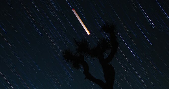 Blood Moon Lunar Eclipse Star Trails Joshua Tree Silhouette Night Sky Stars Desert Timelapse
