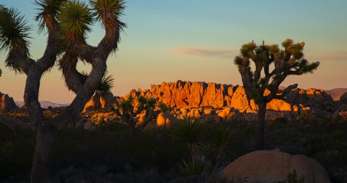 Sunrise Jumbo Rocks Joshua Tree Timelapse Sun Morning Dusk Dawn Peaceful Desert