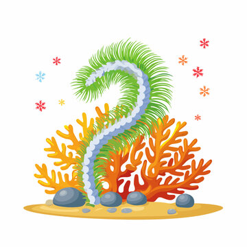 Feather Duster Worm - Christmas tree worm (Spirobranchus), colorful spiral plumes on coral. 