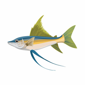 Sand Lance Fish Illustration Vector Art, Ammodytes Marine Life Ocean Creature Design Isolated