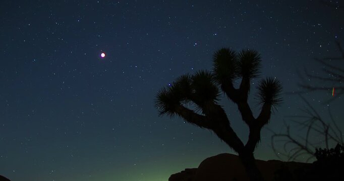 Blood Moon Lunar Eclipse Joshua Tree Night Sky Stars Desert Timelapse
