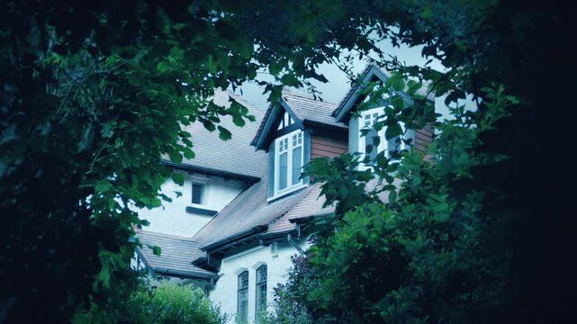 Snowing On House Framed By Trees In The Daytime
