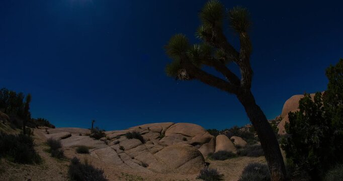 Night Sky Stars Full Moon Timelapse Over Joshua Tree and Boulders 