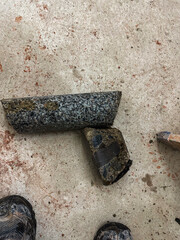 Concrete core sample extracted from structural concrete during construction project.