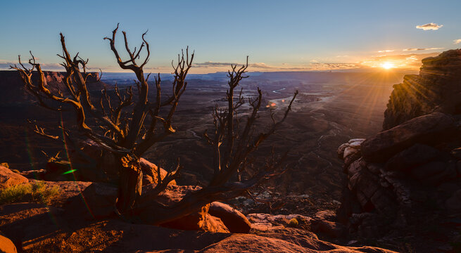 Sunset Over Canyonlands with Green River and Juniper Tree