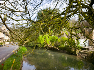 Castle Combe: Timeless Charm in the Heart of the Cotswolds England