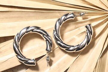 Shiny silver earrings on dry palm leaf, top view