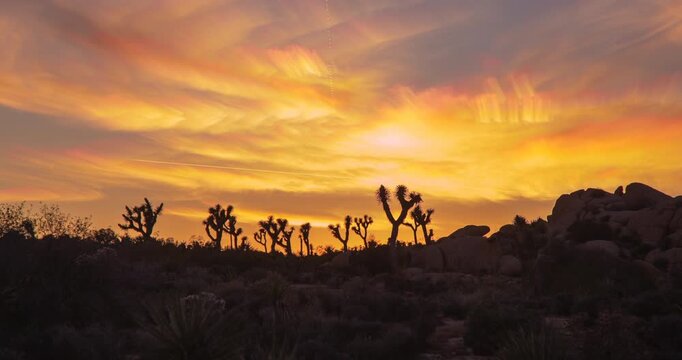Gorgeous Gold Sunrise Sunset Dawn Dusk Joshua Tree National Park Timelapse
