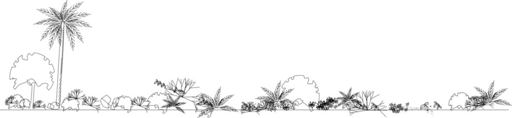 Technical landscape architectural drawing showing various plants and trees in elevation view including palm tree, shrubs, bushes and ground cover vegetation. © Riki