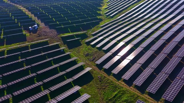 Solar panels span the green landscape under a clear sky, harnessing sunlight for a cleaner environment and showcasing technology's role in sustainability.