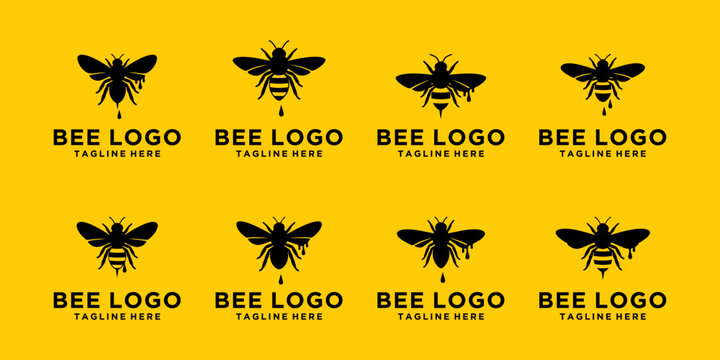 Collection of realistic bee silhouettes in various wing positions. Minimal black insect icons isolated on white, suitable for logos and packaging.