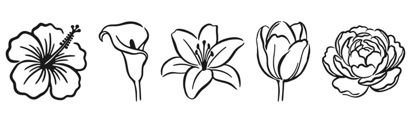 Spring Floral Flowers Collection Organic Hand Drawn Line Art Illustration Bundle © Vic