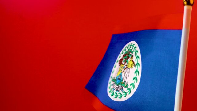 The footage captures the waving motion of the Belizean flag, emphasizing the Coat of Arms centered on a blue field with red borders. It serves as a tribute to the nation's logging history and cultural