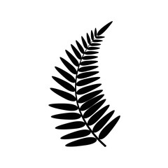 Obraz premium Black silhouette of a single fern leaf.