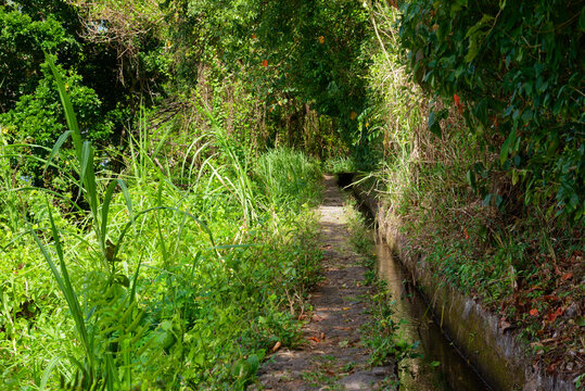 The Beauregard Canal path, also known as the Slave Canal Le Carbet, Martinique, France)