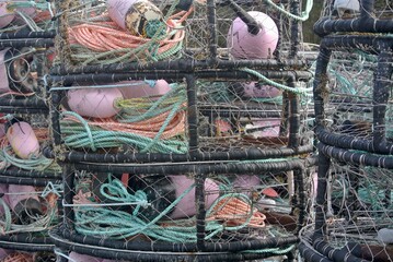 Stack of crab traps and rope ready for Dungeness crab season  © Susan